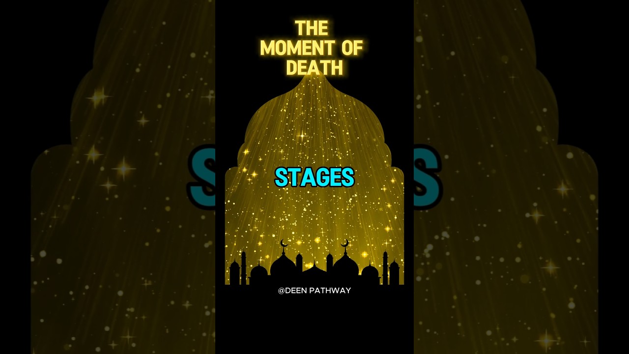 Moments of 💀 death 