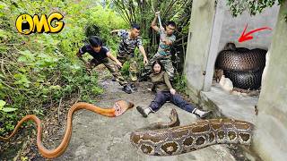 Brave Expert Rescues Young Girl from Giant Python in Abandoned House.