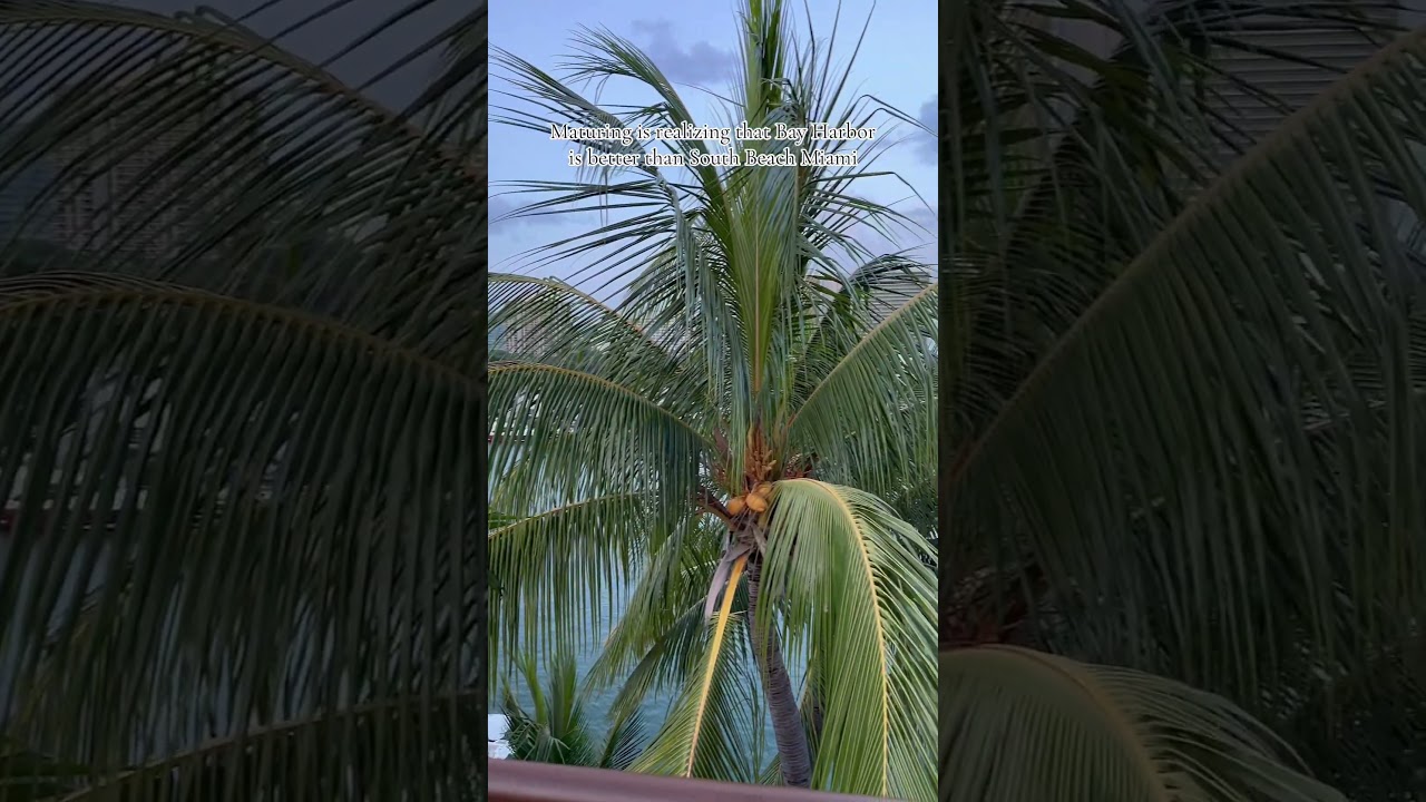 Расслабляющая, спокойная и тихая роскошь ✨ в Grand Beach Hotel Bay Harbor | Ruby Red