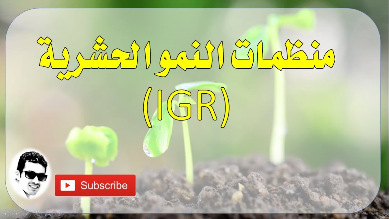 دورة المبيدات الزراعية المجموعات الحشرية منظمات النمو الحشرية IGR