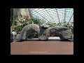 Singapore Cloud Forest at Gardens by the Bay #singapore #cloudforest