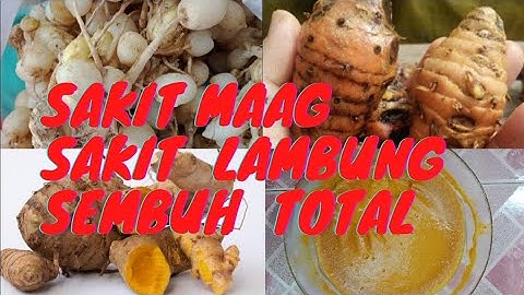 Manfaat Induk Kunyit,Temulawak,Kunyit Putih Menyembuhkan Asam Lambung/Maag,Terbukti!