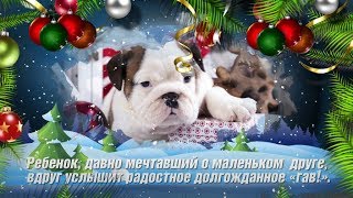 С Новым годом, друзья! Счастья Вам в Новом году!