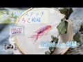 ループが可愛い！スミルナステッチでウロコ模様～鮮やかなお魚さんの刺繍～【Scale pattern with Smyrna stitch-Vivid fish embroidery】