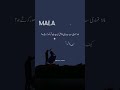 Maala Novel status | Nemrah Ahmed Romantic Novel #salarsikandar #mahir