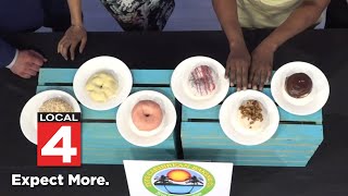 VegMichigan's Spring VegFest 2025 returns to Eastern Market