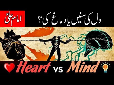 Heart vs Mind - By Imam Ali as | Head or Heart | Success | Mehrban Ali | Right Decision | Motivation