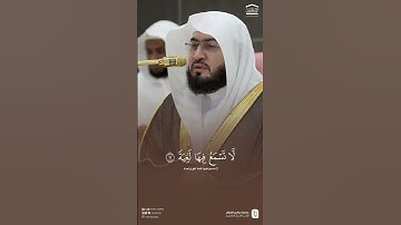 ﴿ فِي جَنَّةٍ عَالِيَةٍ﴾ تلاوة بديعة | سورة الغاشية #بندر_بليلة #اكسبلور