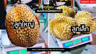 ซื้อทุเรียนแบบไหน ได้เนื้อเยอะกว่ากัน ทุเรียนลูกเล็ก หรือลูกใหญ่ | sadoodta