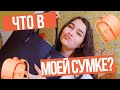 ЧТО В МОЕЙ СУМКЕ?2019