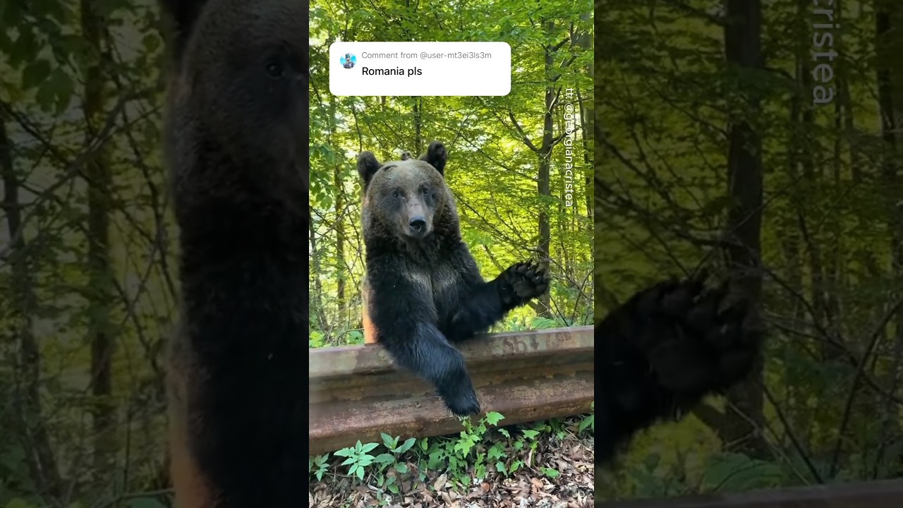 Places in Romania that don't feel real 🇷🇴🤯 