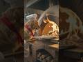 * You Won’t Believe This Dog Can Make Pizza! 🤯🐶