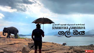 Senanayake Samudraya| Reservoir |Elephants in Sri Lanka04 ලංකාවේ ලොකුම ජාලාශයේ අලිත් එක්ක දින දෙකක්