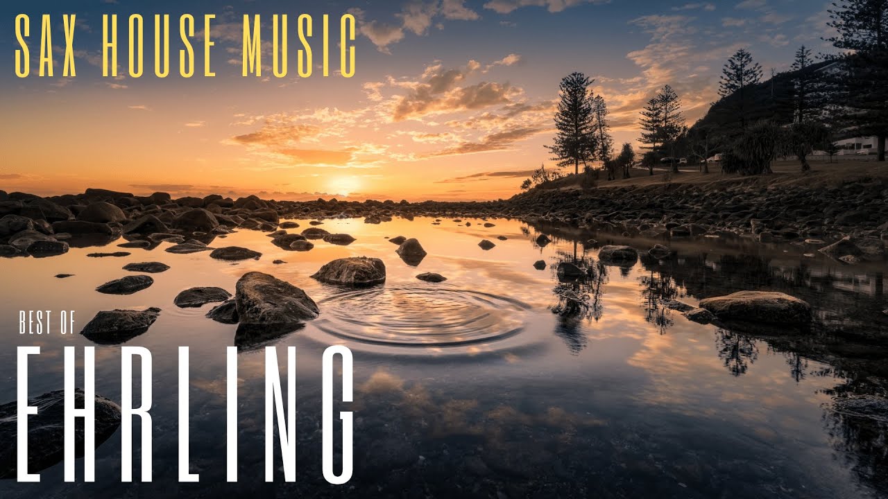 EHRLING Mix 2021 1 HOUR Deep Saxophone House Music 🎷 Sax Songs
