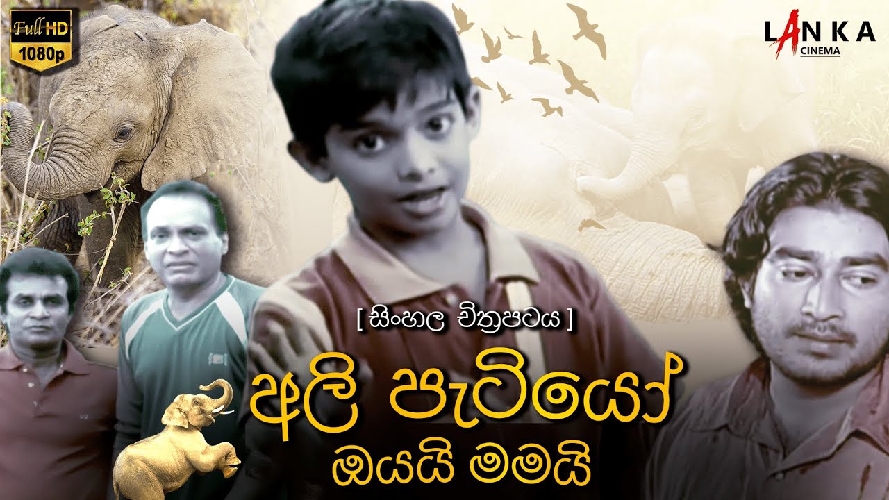 අලි පැටියෝ ඔයයි මමයි චිත්‍රපටය 💥🎬 Ali Patiyo Oyai Mamai  HD Sinhala Full Movie 💥🎬 #sinhalamovie