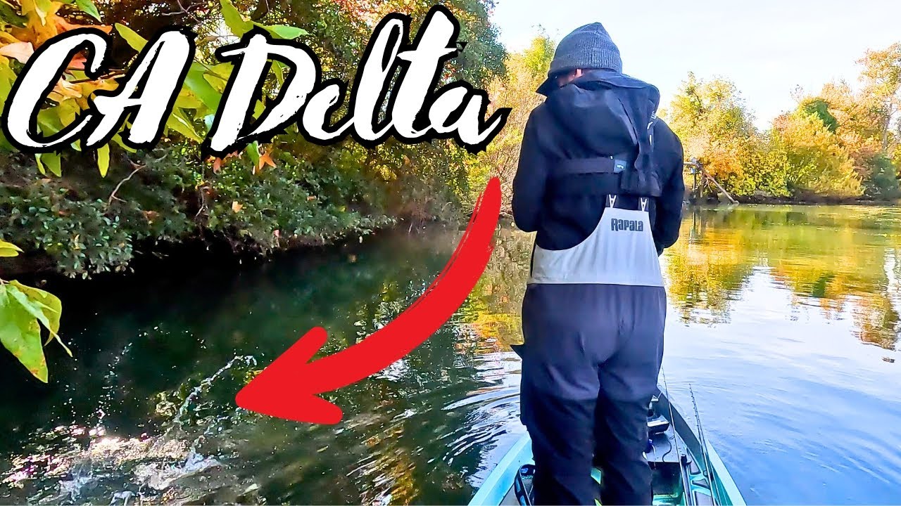 Winter Bass Fishing On California Delta