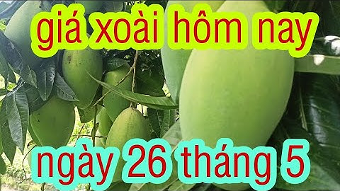 giá xoài hôm nay ngày 26/5