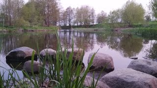 картинка: Вечерняя прогулка по реке со спиннингом. Рыбалка в Беларуси в мае.