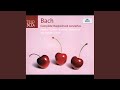 Miniature de la vidéo de la chanson Concerto For Harpsichord, 2 Recorders And Strings In F Major, Bwv 1057: Iii. Allegro Assai