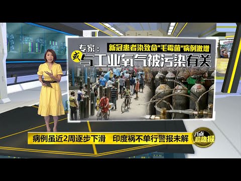 近9千新冠患者感染“毛霉菌” 印度疫情祸不单行 | 八点最热报 25/05/2021