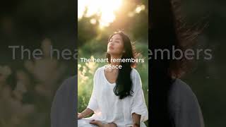 Sounds That Touch the Soul ✨ #innerpeace #healingmusic #deepcalm 🕊️🌿