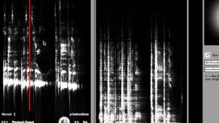 Sonographic Sound Processing in Max/MSP and Jitter