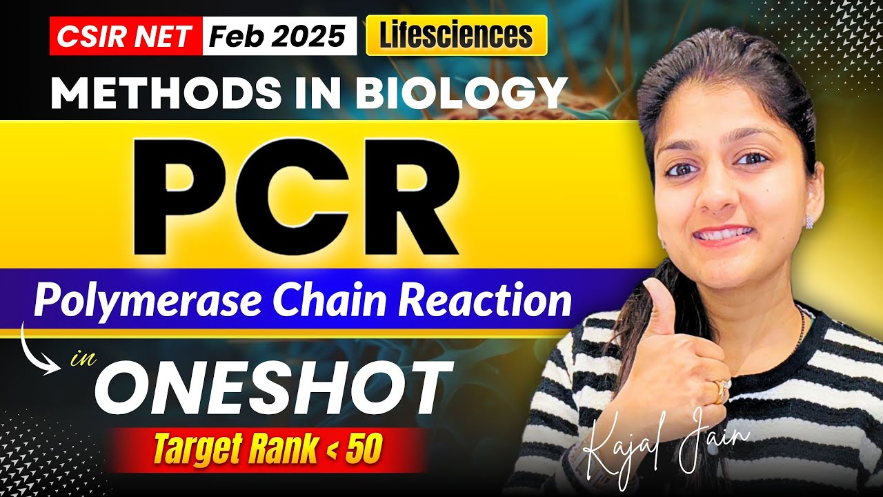 PCR (Polymerase Chain Reaction) Explained | Steps, Principle ...