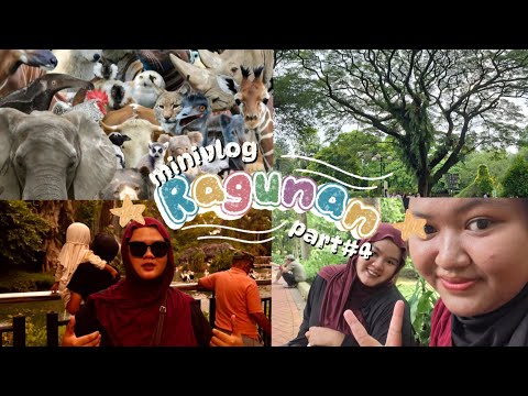 #4 JenFan - Edisi Ke Ragunan?Liat Apa Aja Yaaa🐆🐒🦓🐘🐈