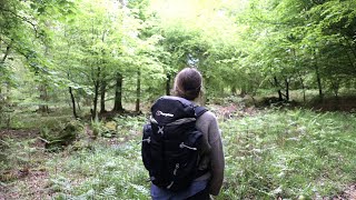Hammock Wild Camping in the Rain - Hike through Forest with Bird Song