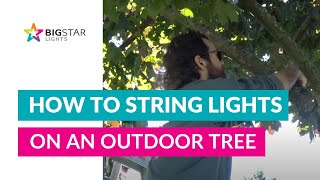 Pro-Installer Tips | How To String Lights on an Outdoor Tree