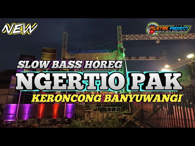 DJ NGERTIO PAK versi KERONCONG BANYUWANGI SLOW BASS class=