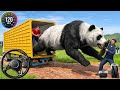 Zoo Animal Cargo Truck Driving Cargo Game - Dangerous Animal Delivery Game 3D - Android GamePlay