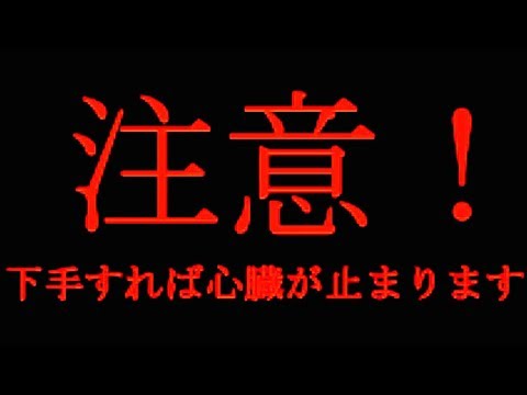下手すれば心臓が止まるらしい『 お笑いホラーゲーム 』