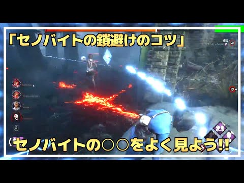 【DBD】『セノバイト』”鎖チェイスのコツ”を解説します！【らすたまお切り抜き】