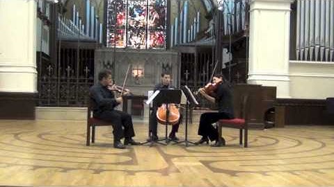 Max Reger String Trio Op. 77b 1st movement