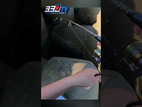 여행용 낚시대로 테트라포트 구멍치기 낚시! #접으면42cm #펼치면2.1m