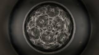 Cymatics: Vibrations on Water Surface from 71Hz to 61Hz