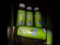 Minuman Herbal Sehatea Fresh Drink REMPAH Organik Taro