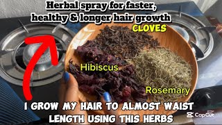 HOW TO MAKE ROSEMARY, CLOVES & HIBISCUS HAIR GROWTH SPRAY AT HOME. 