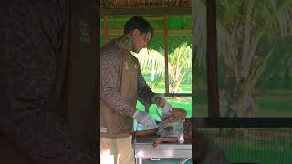 Adiós bolitas 👋🏻 otras 500 esterilizaciones donadas. ❤️‍🩹