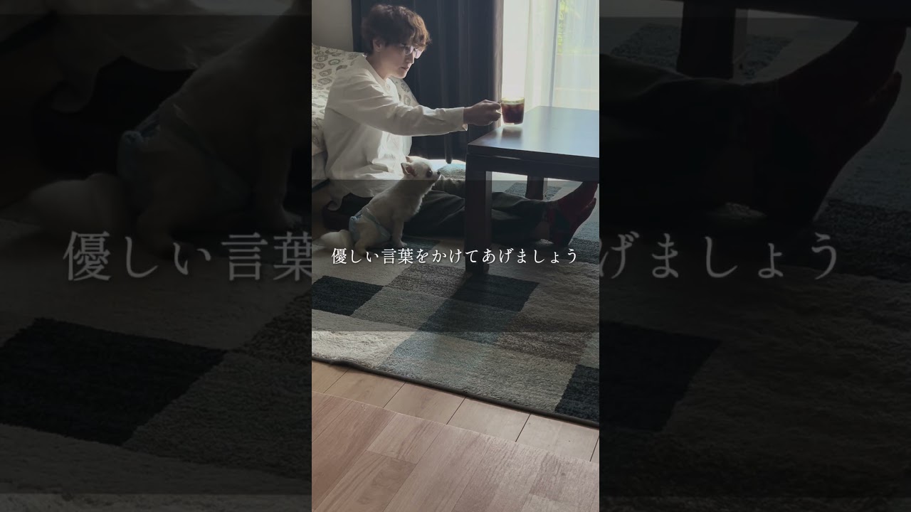 誰にも頼れなかった、あの日の私へ｜心耕す100のこと #100 #HSP #AC #自己肯定感 #癒しの言葉 #繊細さん #心の癒し #心理学 #心のケア