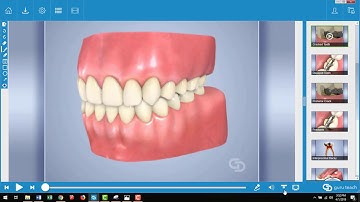 Guru7 Playback Options