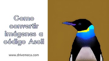 Como convertir imágenes a código Ascii