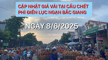 GIÁ VẢI U HỒNG MỚI NHẤT TẠI CẦU CHÉT PHÌ ĐIỀN LỤC NGẠN BẮC GIANG 8/6/2025