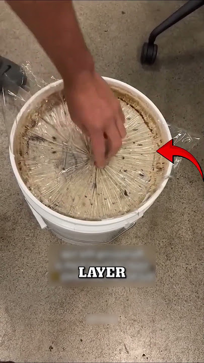 Never Let This White Substance Stick To Your Honey