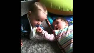 Baby twins sharing a dummy!