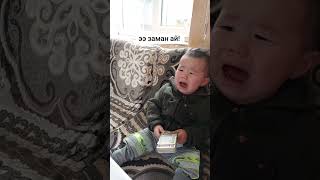 Эки турдуу жаш бобоктор 😄.