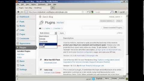 Learn - How to Upgrade or Delete Plugins Automatically