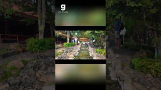 Boiling Eggs in Natural Hot Springs: Unique Travel Experience! #shorts