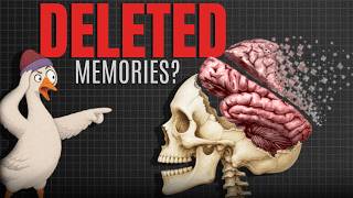Why Did Your Brain DELETE Your Baby Memories